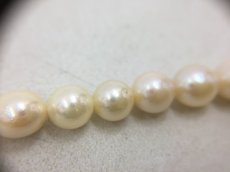 Photo5: Unbranded Pearl Necklace Made in Japan 37 cm (6 mm x 60) 0F230250n" (5)